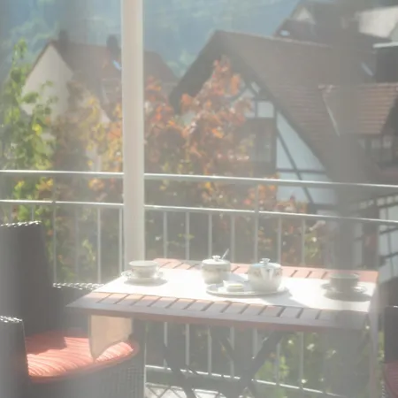 Am Muehlbach 3* Forbach