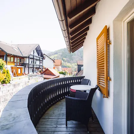 Hotel Am Muehlbach 3*